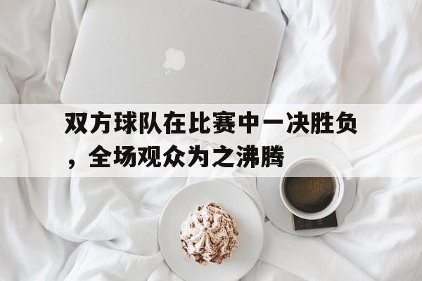 双方球队在比赛中一决胜负，全场观众为之沸腾